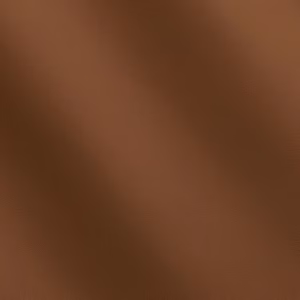 LE MANS 1239 COCCO NUT